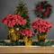 20" Pink Artificial Christmas Poinsettia with Wrapped Base